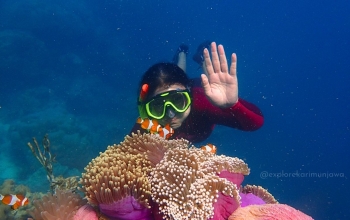 paket wisata karimunjawa jepara