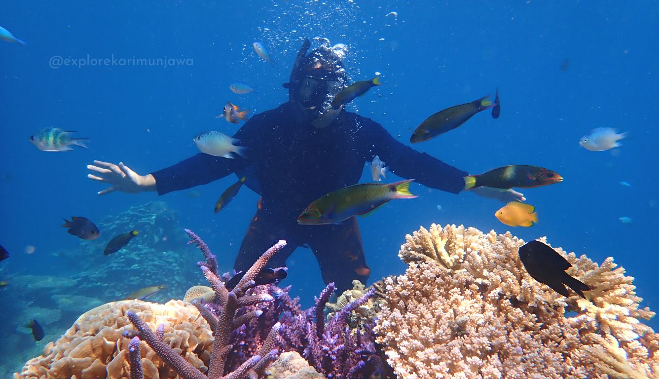 paket karimunjawa