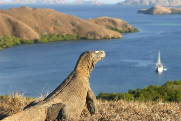 labuan bajo ada dimana