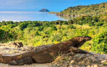 tempat wisata labuan bajo